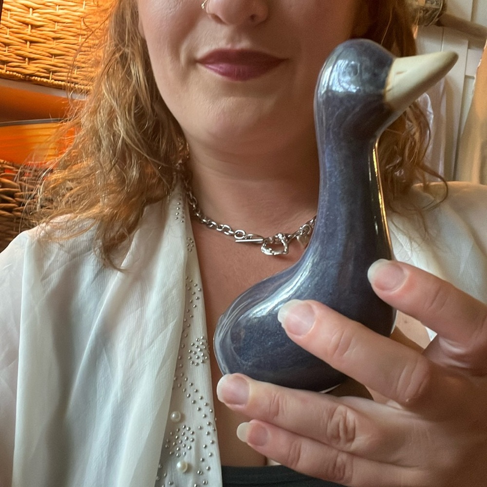 Two Geese